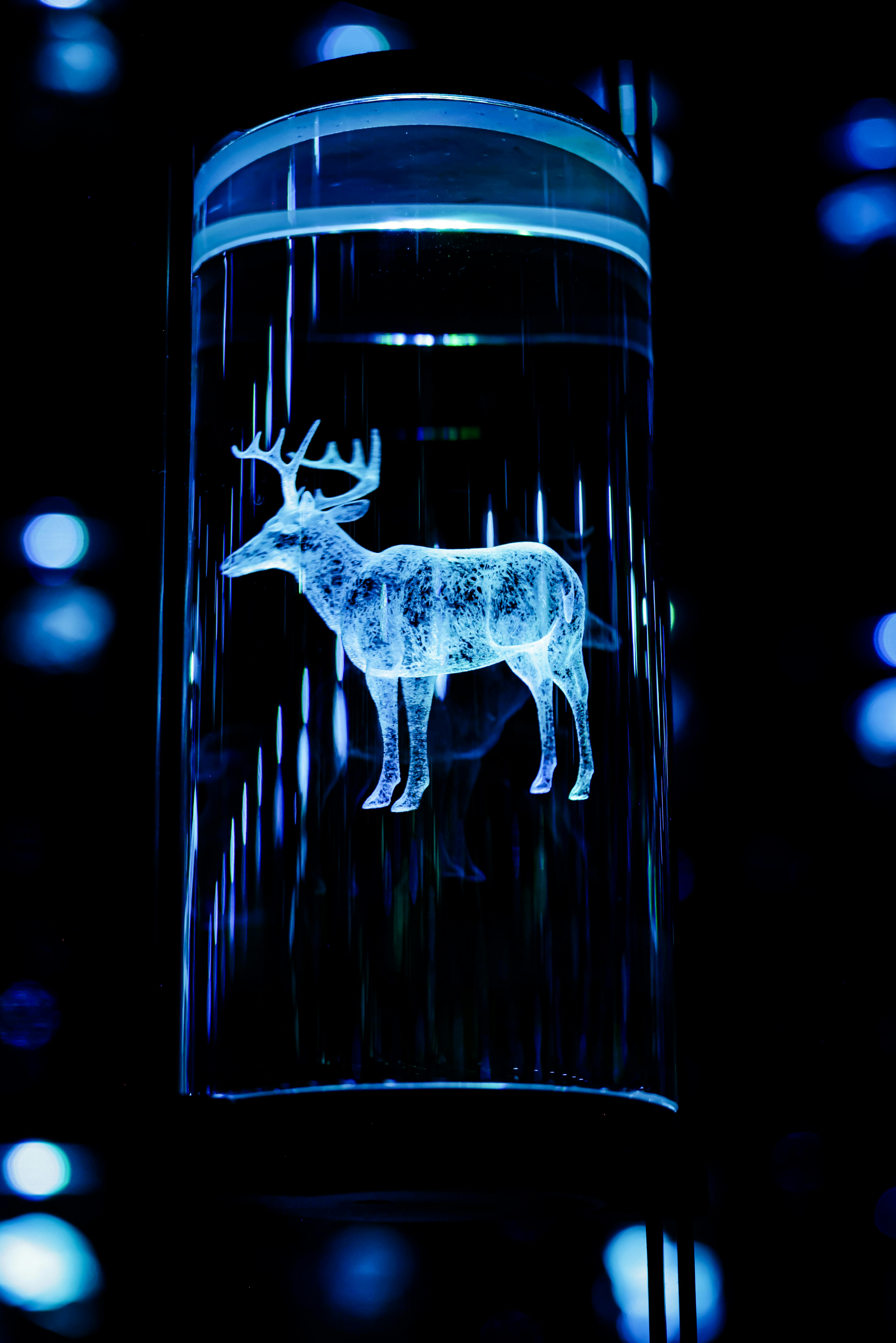 Hologram